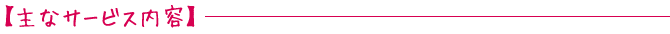 【主なサービス内容】